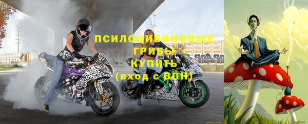 синтетический гашиш Алексеевка