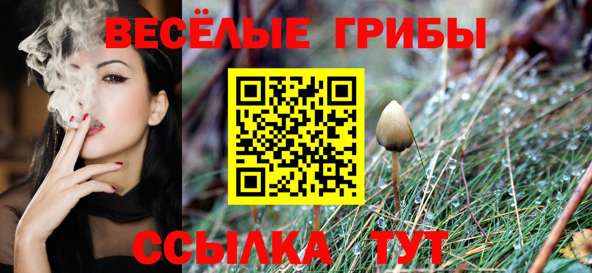 Геленджик  Галлюциногенные грибы MAGIC MUSHROOMS  Вход с VPN  Галлюциногенные грибы Psilocybe 